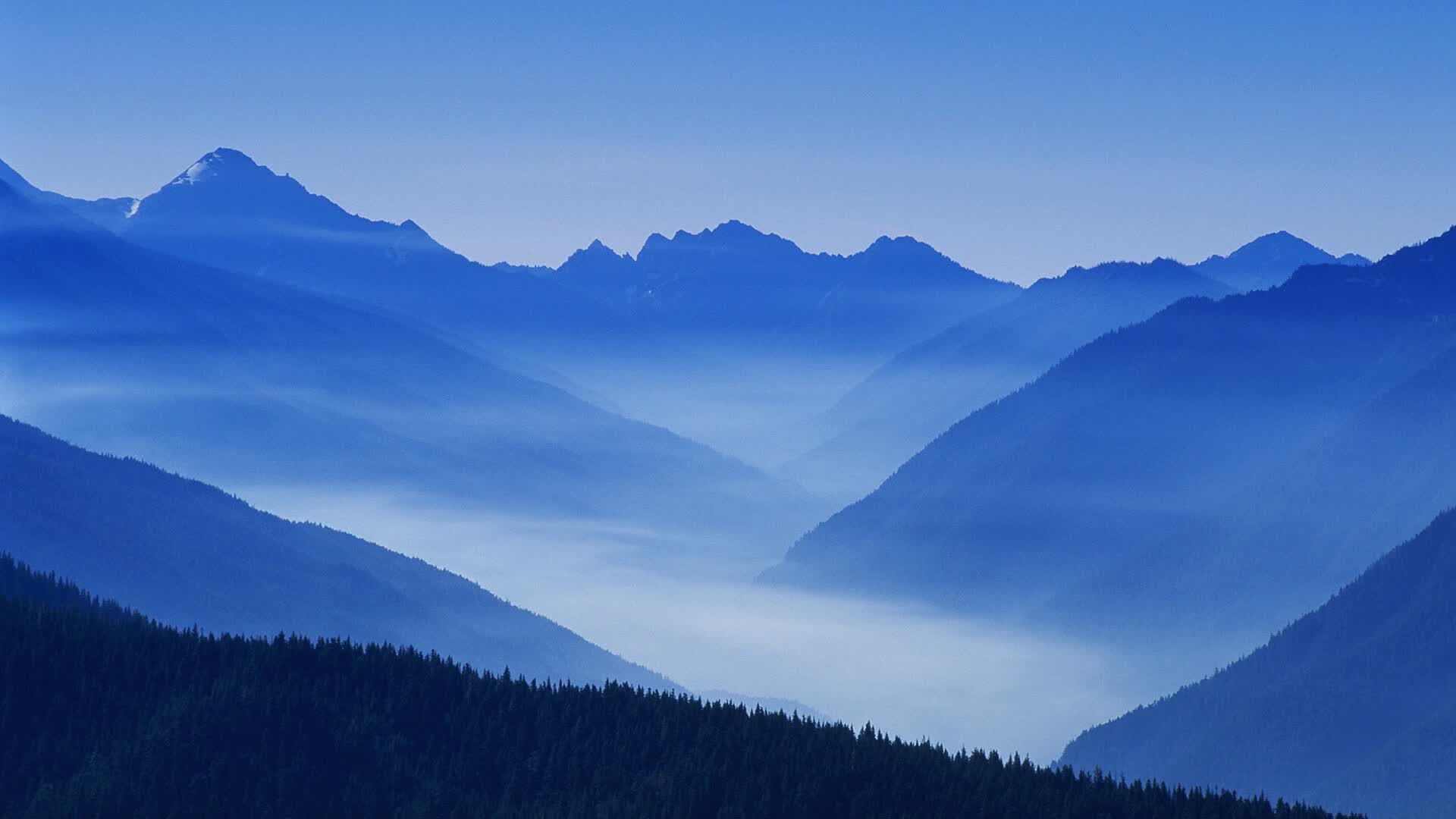 世界登山青年导师生态修复项目第22批结项名单公布，世界登山大师